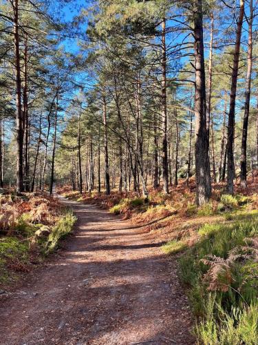 Le repaire de Barbizon in باربيزون