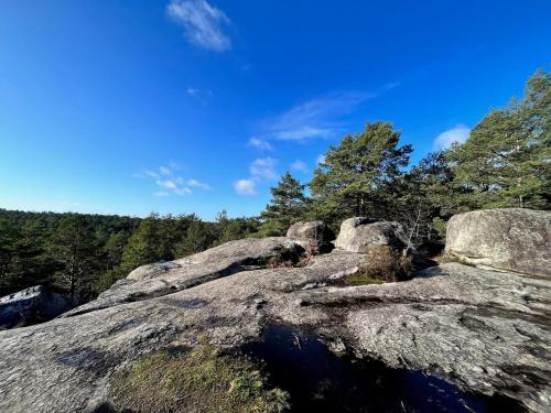 Le repaire de Barbizon in باربيزون