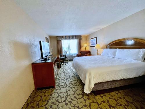 Hilton Garden Inn Houston Westbelt - image 3