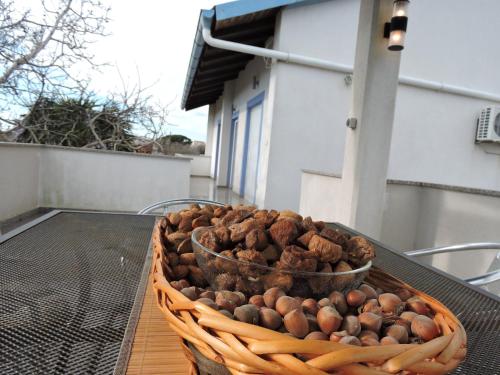 Apartment Silva free wifi free parking Apartment Silva free wifi free parking