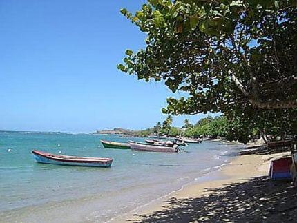 Studio Vue Mer avec Terrasse Profitez de Tartane en Martinique in ลา ทรินิตี้