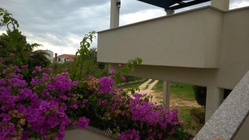 Apartment Silva free wifi free parking Apartment Silva free wifi free parking