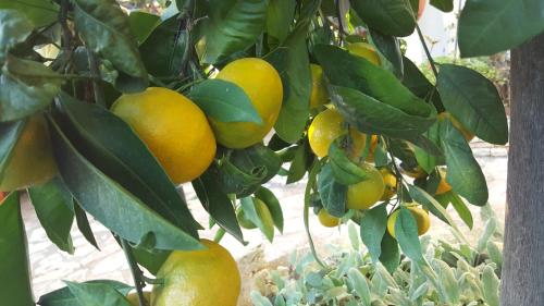 Apartment Silva free wifi free parking Apartment Silva free wifi free parking