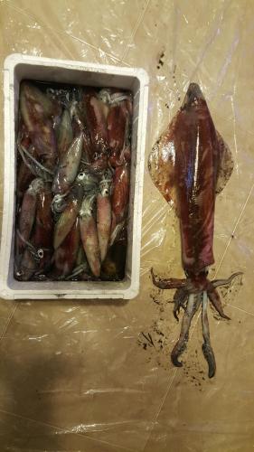 Apartment Silva free wifi free parking Apartment Silva free wifi free parking