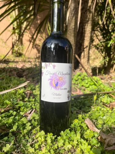 Finca Macalicia in Salto de las Rosas