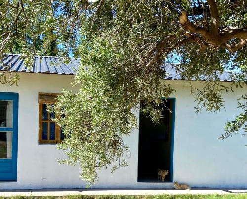 Finca Macalicia in Salto de las Rosas