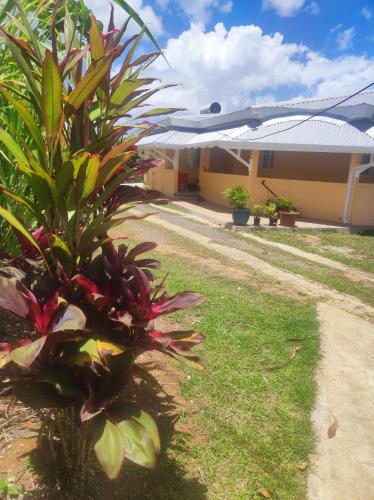 Chambres d'hôte dans la charmante commune de Ste Rose (Chambres d'hote dans la charmante commune de Ste Rose) in Sainte Rose