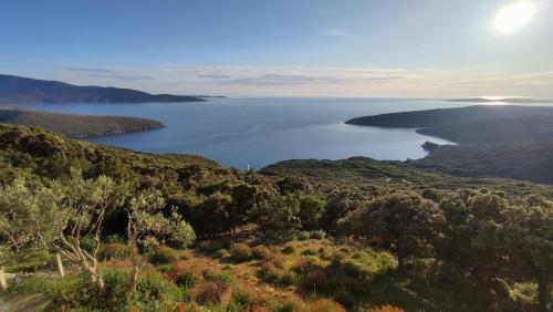Skats, Holiday house with a parking space Ustrine, Cres - 22967 in Ustrine