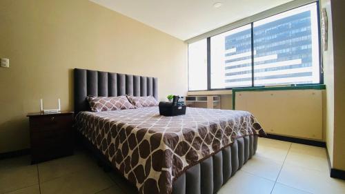 Two-Bedroom Apartment image 8