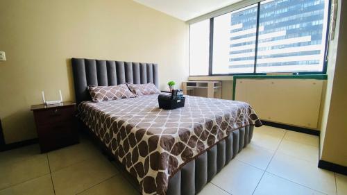 Two-Bedroom Apartment image 7