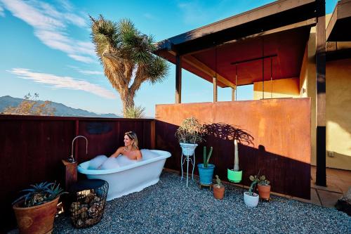 Sacred Sands - Lobo Luna in Joshua Tree, USA