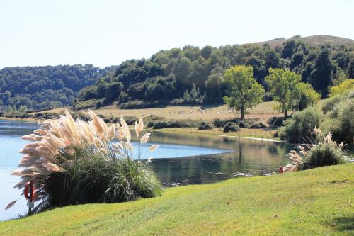 Il Castoro di Martignano - image 3