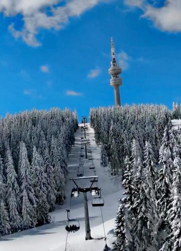 Апартамент за гости в Пампорово, Pamporovo (fotografie 10)