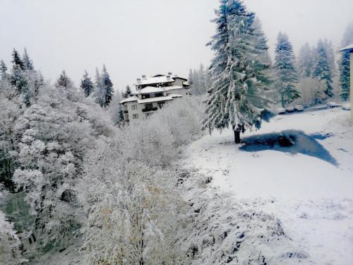 Апартамент за гости в Пампорово, Pamporovo (fotografie 9)