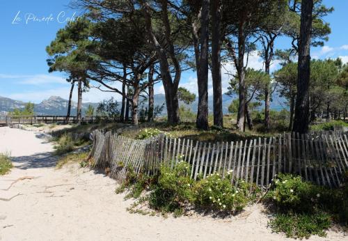 ที่เที่ยวใกล้ที่พัก, Les pieds dans l'eau T2 A in กัลวี