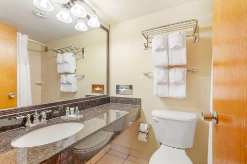 Comfort Inn University Center