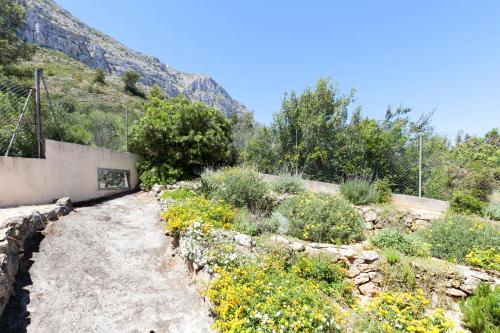 Finca Serena - image 4