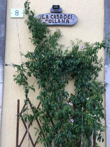  La casa dei Collana in Serrano