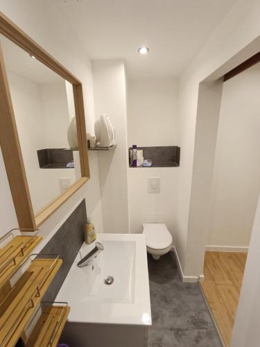 Nid Cosy et Sauna Privé & Proche Centre Strasbourg & Kehl, Strasbourg (photo 10)