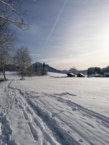 Eichenhof, Wohnung Rustika B in Rieden, Deutschland