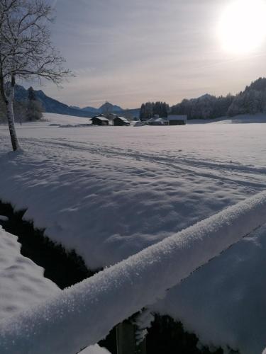 A környék, Eichenhof, Wohnung Rustika B in Rieden am Forggensee