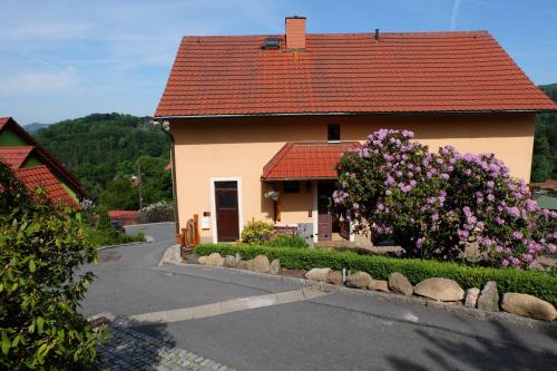 Panoramablick, Sebnitz (fotografie 2)