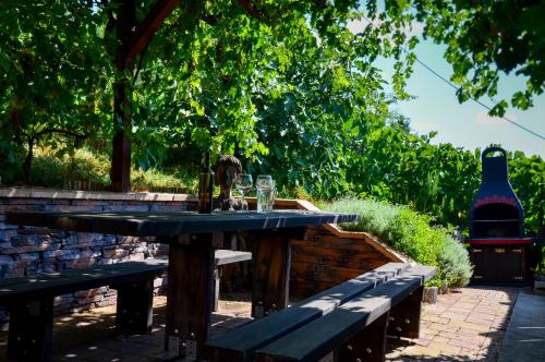 Jardín, Apartman Hejc in Moravska Nova Ves