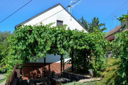 Jardín, Apartman Hejc in Moravska Nova Ves