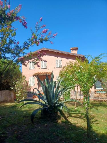 Chez Fredy gîte à louer Pedona