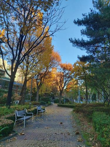 สภาพแวดล้อมโดยรอบ, Mokdong Stay in ยังชอนกู