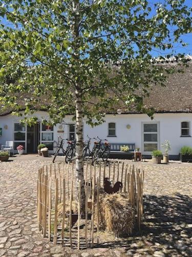 Danhostel Tisvildeleje - image 5