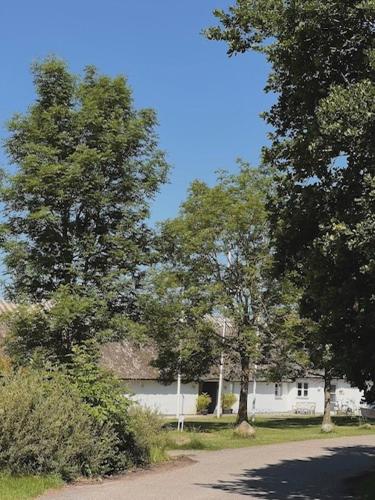 Danhostel Tisvildeleje - image 6