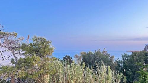 Luxury Apartment in Makry Gialos Luxury Apartment in Makry Gialos