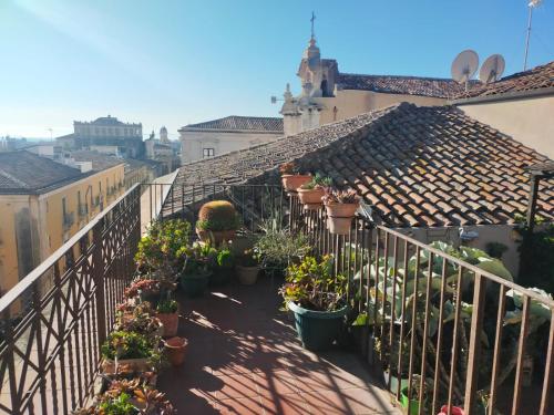 Suite with Terrace image 10