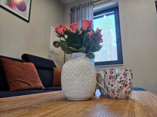 Apartament Vici nad jeziorem Nyskim