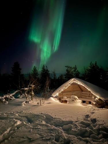 Auroras by Kaltios, Kaltionkuusi, Levi (foto 7)