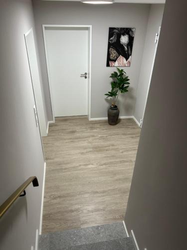 外部景觀, Ferienwohnung mit Infrarotsauna in 科埃斯費爾德