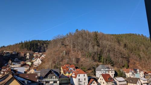 منظر, Hotel Central Garni in تريبيرج
