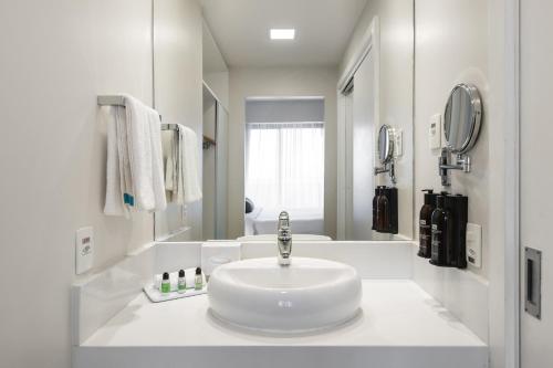 Studio Queen Suite - City View image 10
