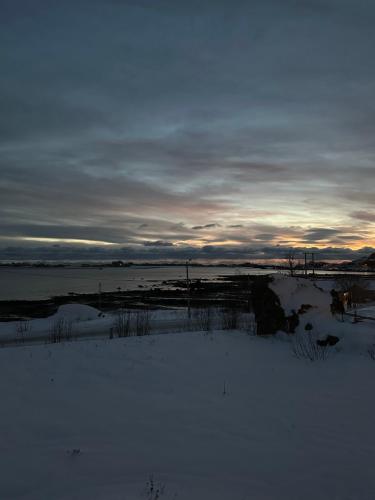 Kilátás, Lofoten Seaview apartment in Sennesvik