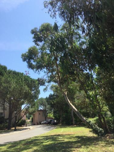 Location Mer Azur Sud Location Mer Azur Sud