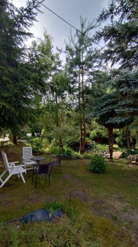 Świerkowe Ranczo Raciszewo (Swierkowe Ranczo Raciszewo) in Lukta