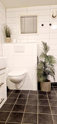 Modern villa in Tromsø, located between The Arctic Cathedral and The Cable Car