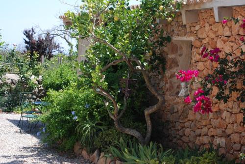 Finca Can Paulino