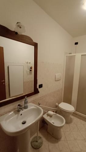 Le rondini di San Donato 2