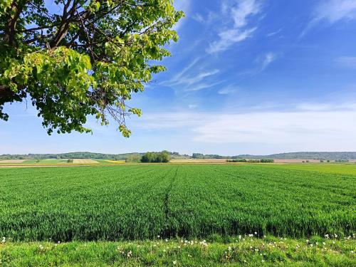 酒店活動, Apartment Paradise in 摩拉瓦河溫泉