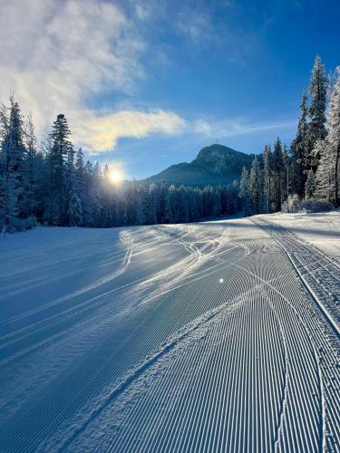 Sports un aktivitātes, Casutele dintre brazi in Panaci