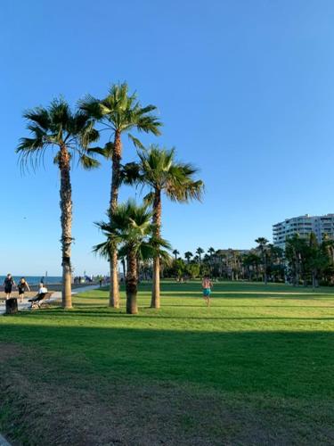 Torremar - Magic World - Marina d'or, El Borseral (fotografie 6)