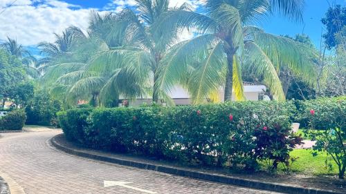 المنطقة المحيطة, Golden Sunset House in Los Cobanos