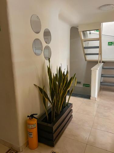 Hotel Yellow Maraya, Pereira in Jardin